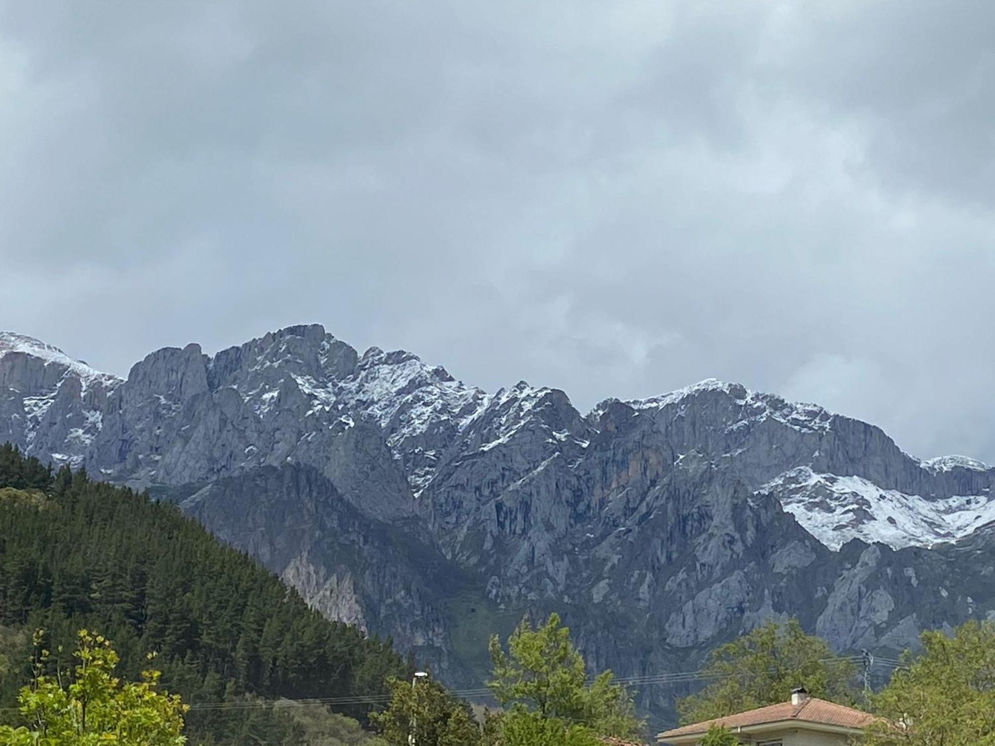 Picos De Europa Suites And Rooms Turieno Eksteriør billede