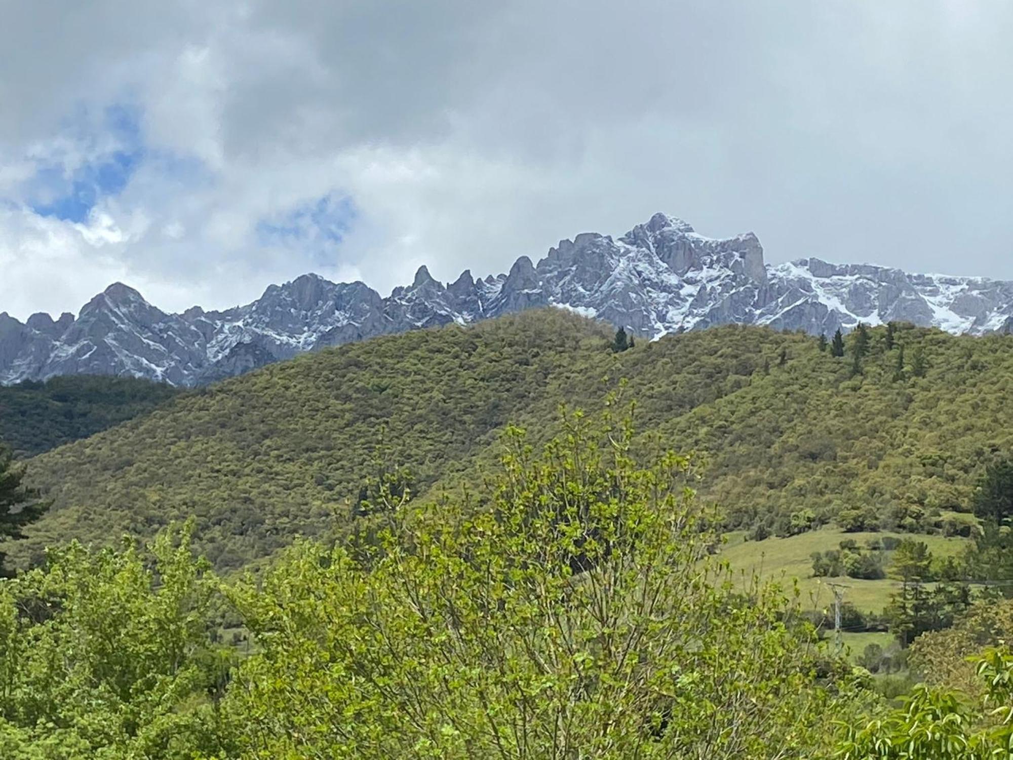 Picos De Europa Suites And Rooms Turieno Eksteriør billede