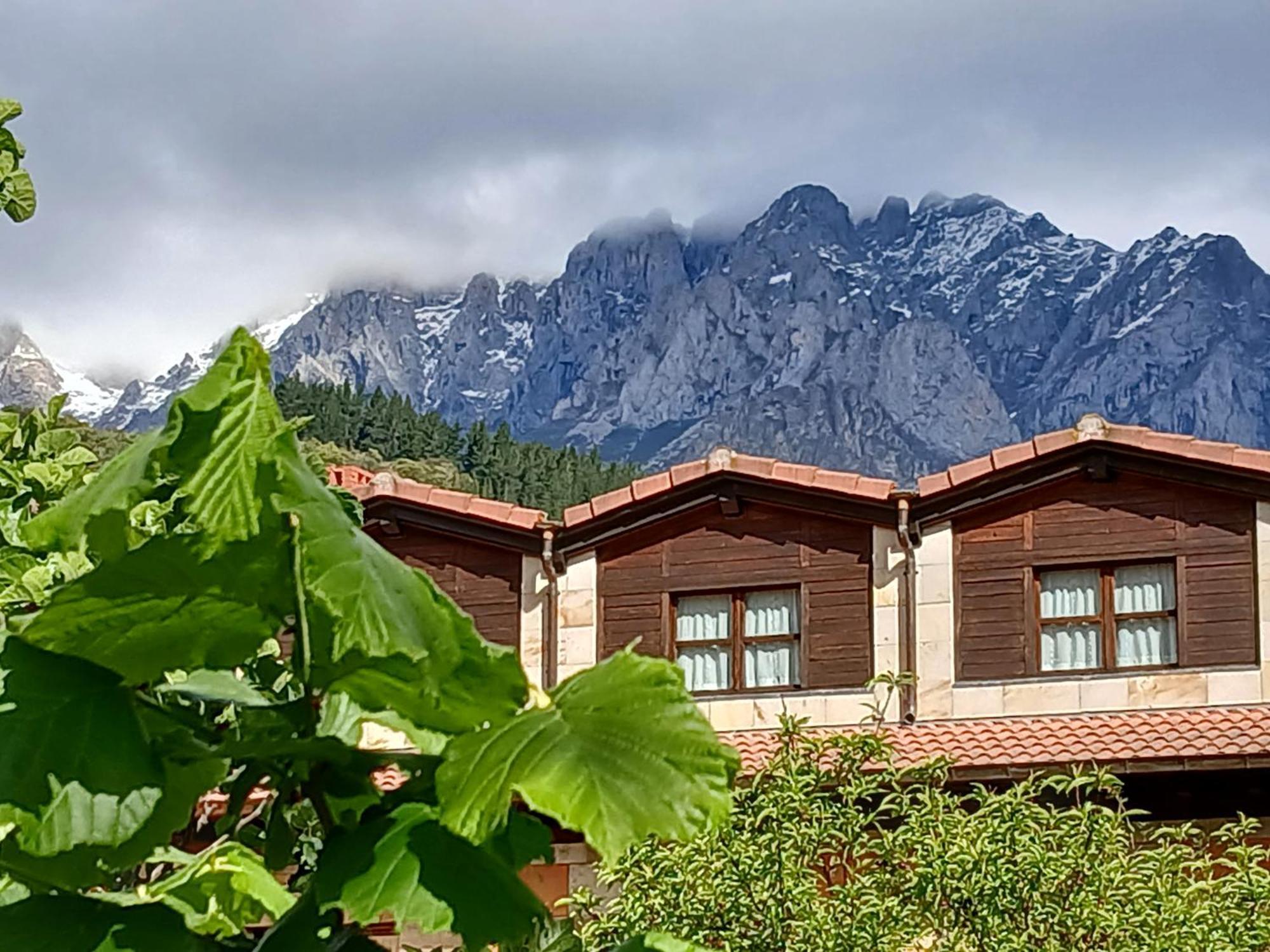 Picos De Europa Suites And Rooms Turieno Eksteriør billede