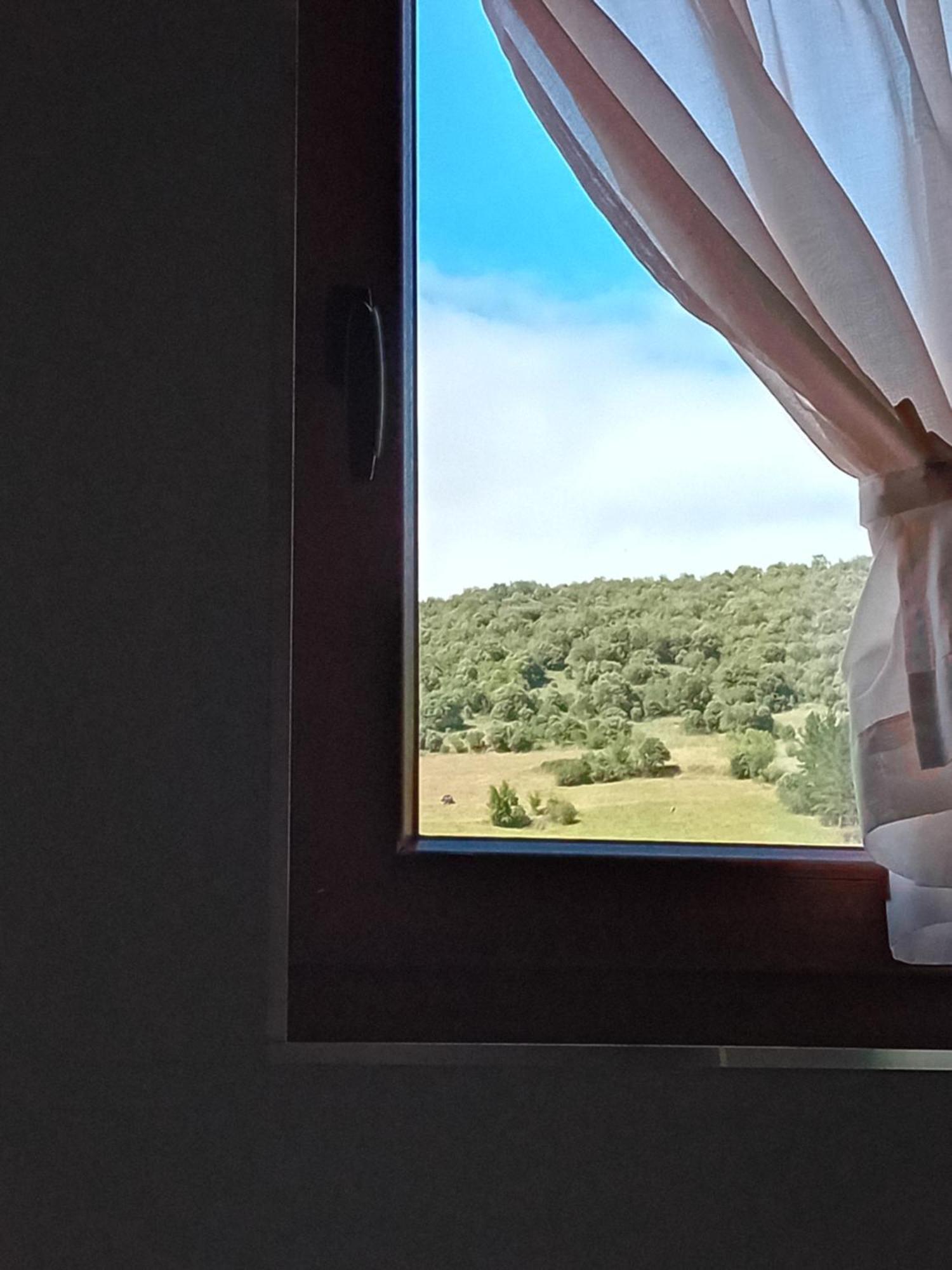 Picos De Europa Suites And Rooms Turieno Eksteriør billede