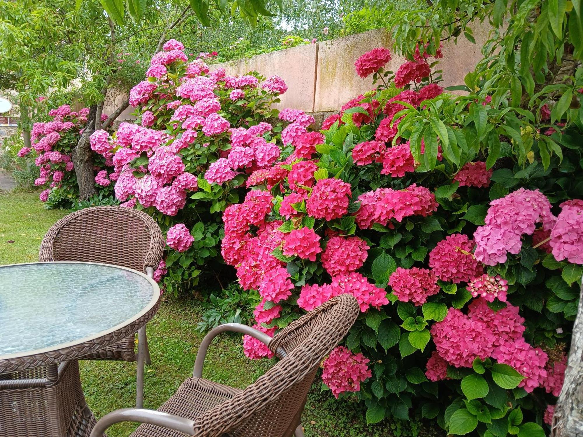 Picos De Europa Suites And Rooms Turieno Eksteriør billede
